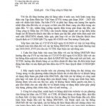 Quyết định Tập đoàn Điện Lực Việt Nam đầu tư Năng Lượng Mặt Trời